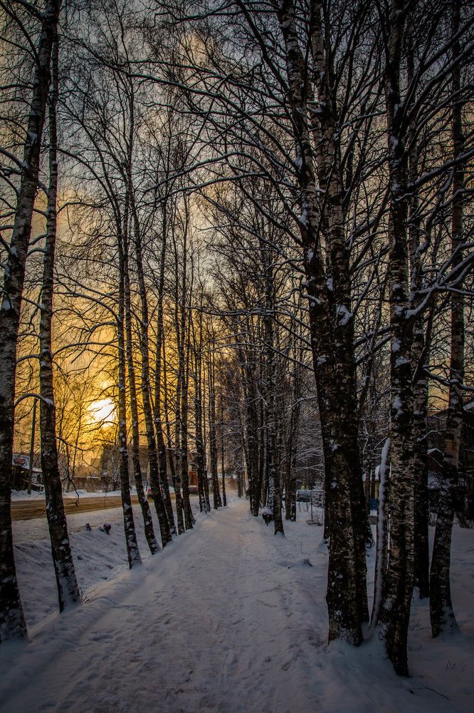 Photograph by Ольга Сафронова