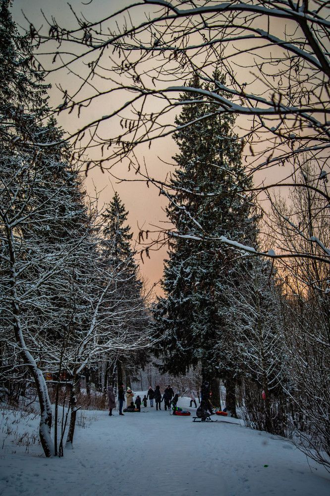 Photograph by Ольга Сафронова