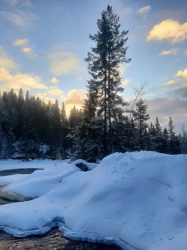 Photograph by Natalya Vasilenko