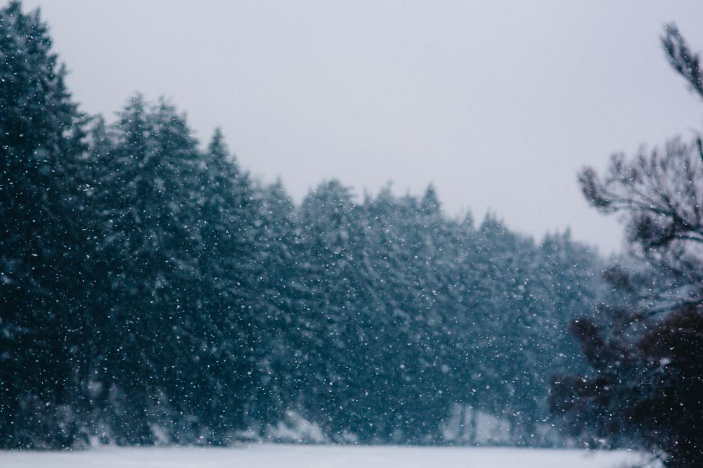 Photograph by Наталья