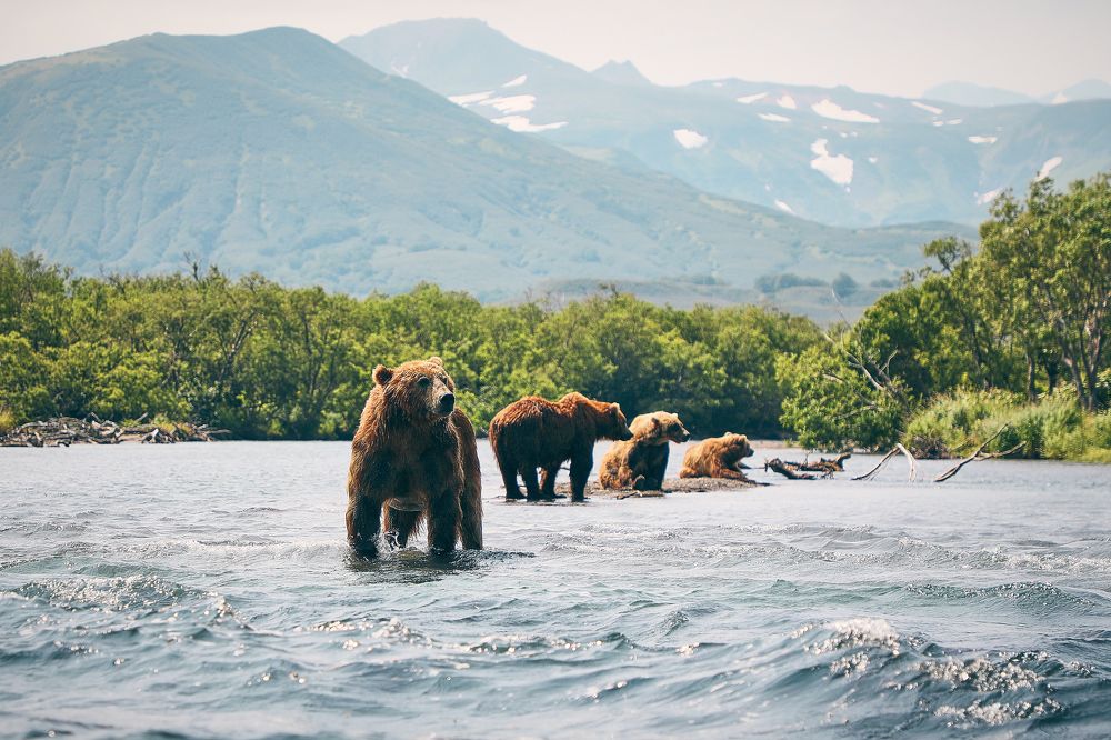 Photograph by Evgeny Gorbunov