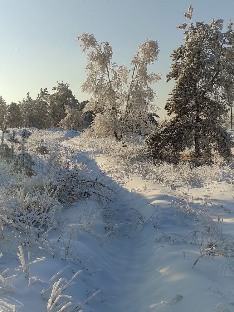 Photograph by Helen Ka