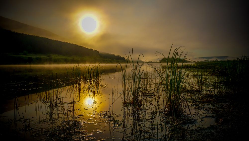 Photograph by Ольга Мурашева