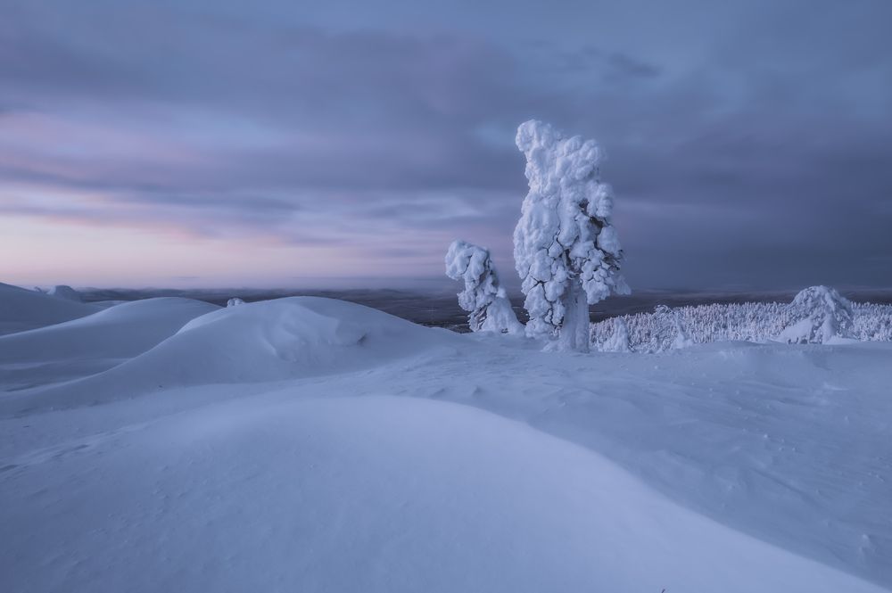 Photograph by Дмитрий Геращенко