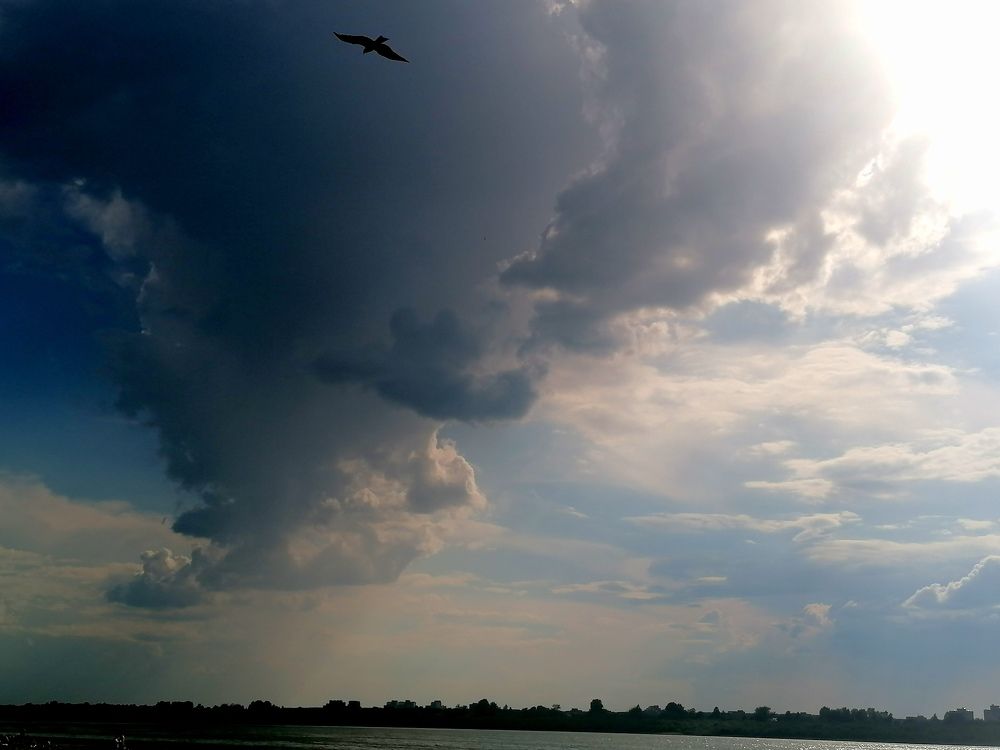 Photograph by Анастасия Николаева