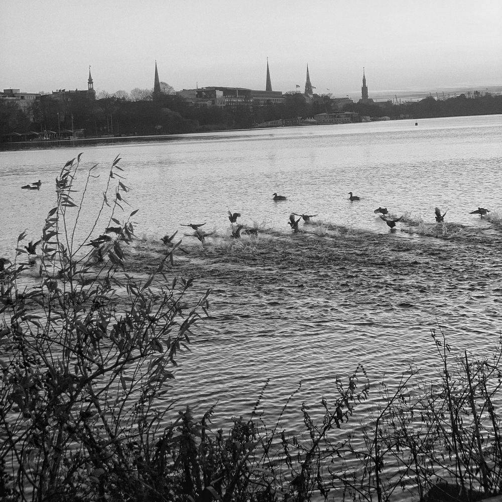 Photograph by Vasilisa Pokrovskaya