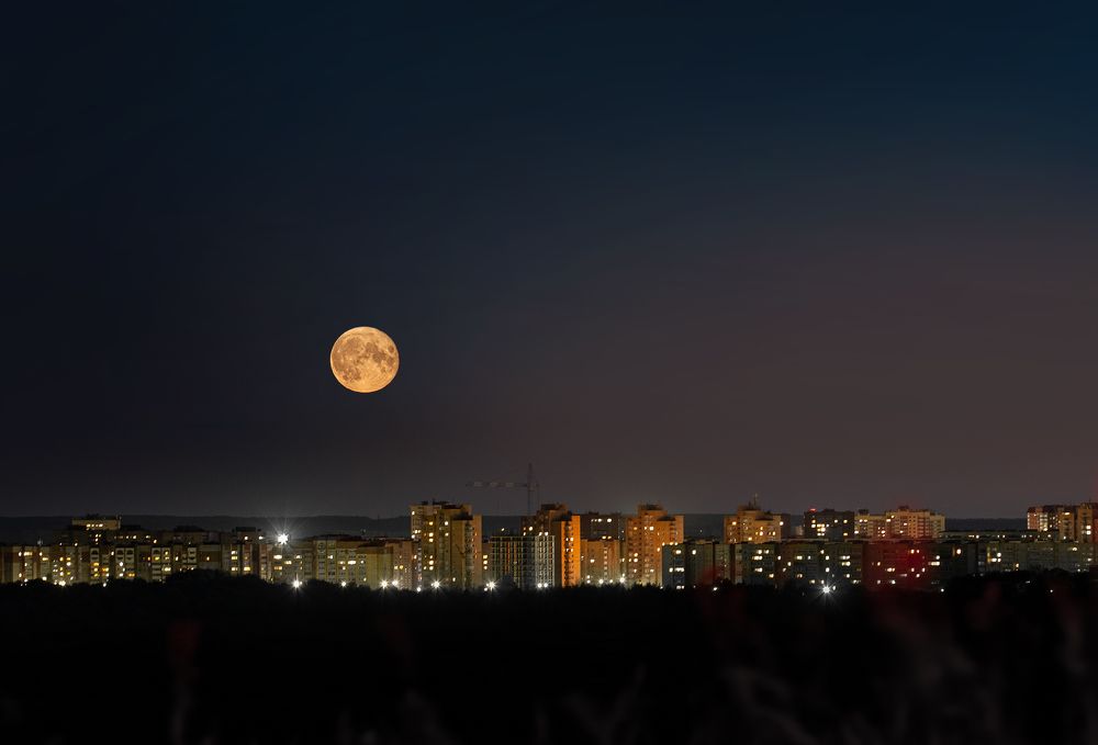 Photograph by Екатерина Родченкова