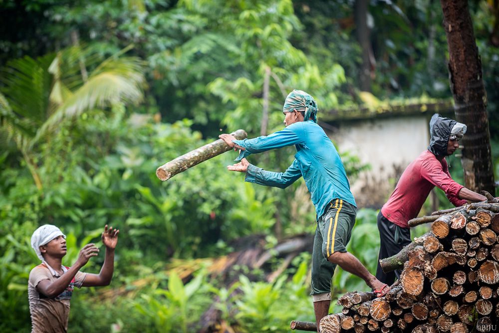 Photograph by Sivasankaran Biju
