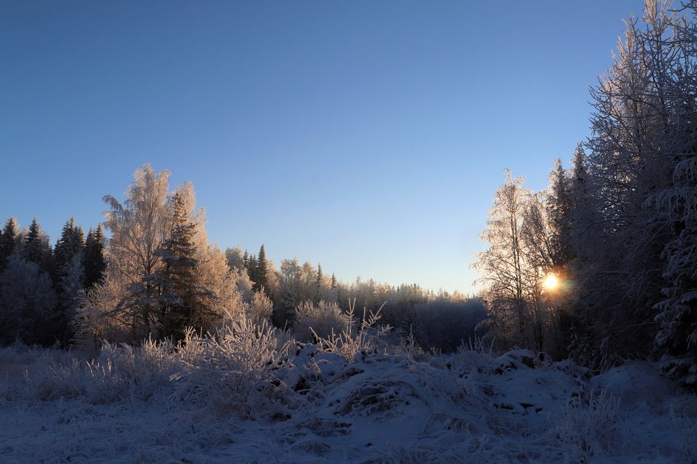 Photograph by Нина Чугунова