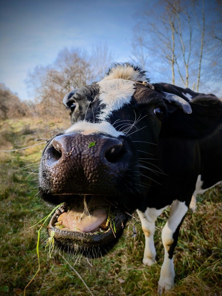 Photograph by Денис Грамович