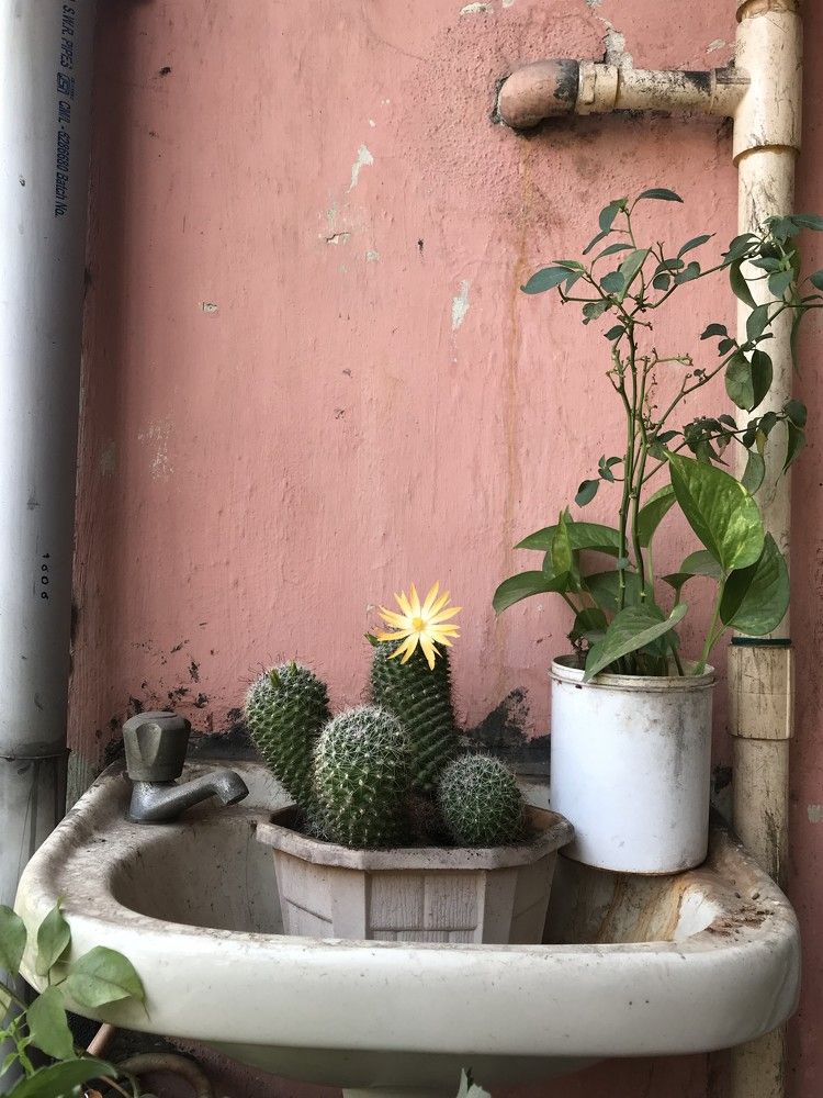 Photograph by Shaik Sikindar Mohaseen