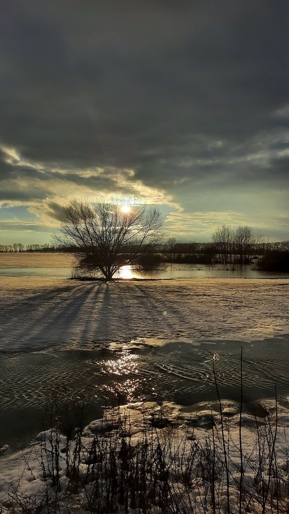 Photograph by Стариков Алексей (AlexOldmanPhoto)