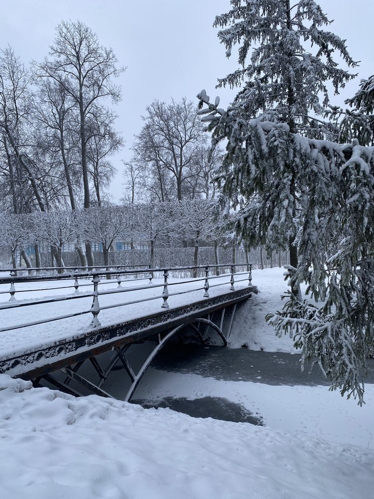 Photograph by Алиса Лукина