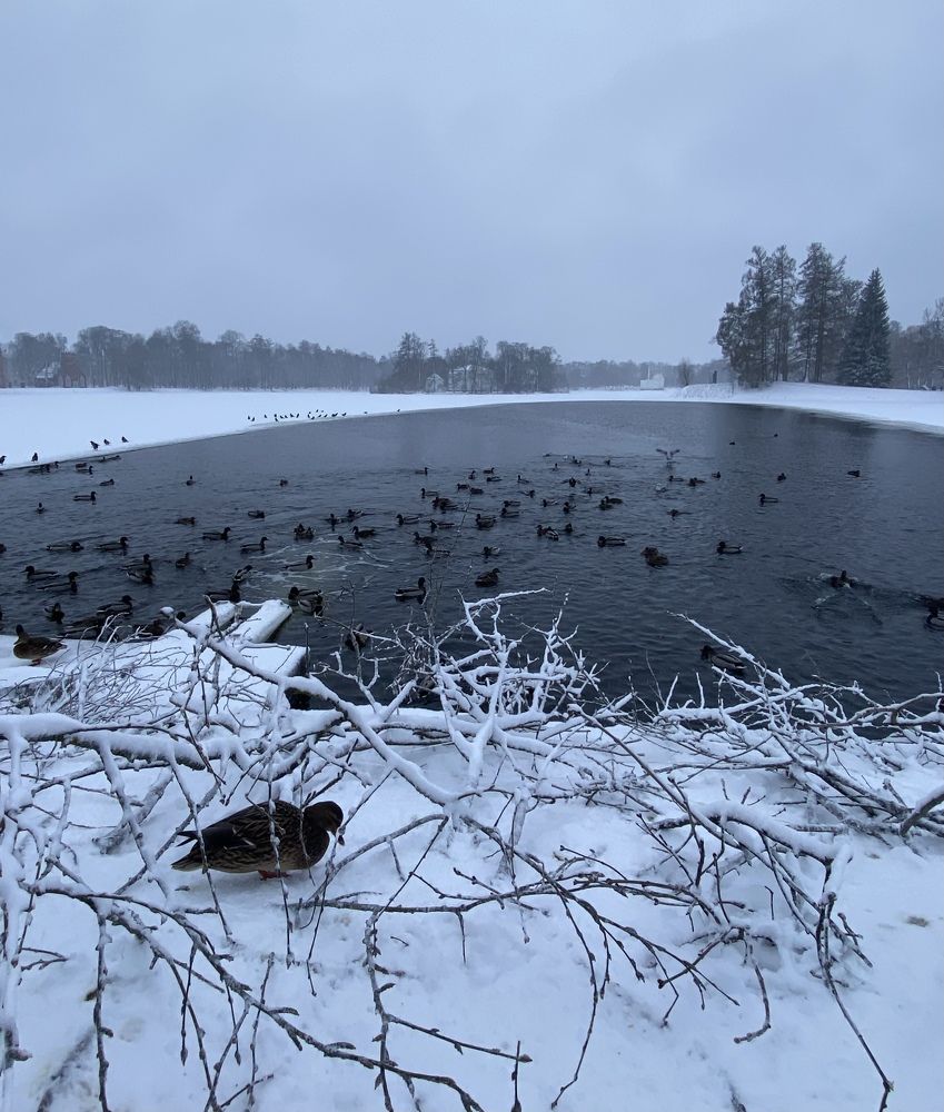 Photograph by Алиса Лукина