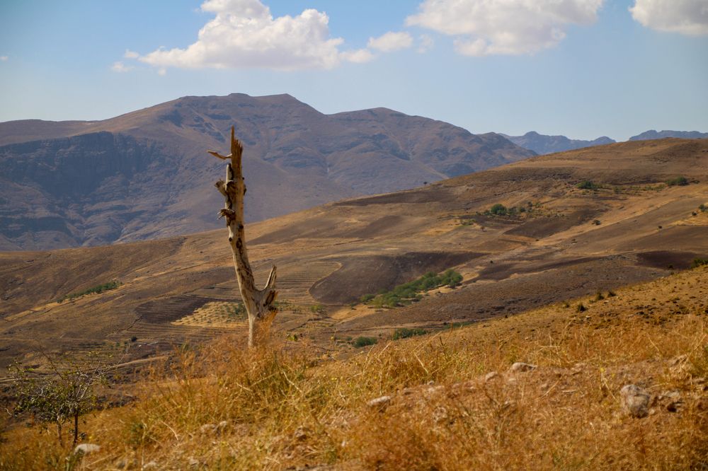 Photograph by naser rezaeian