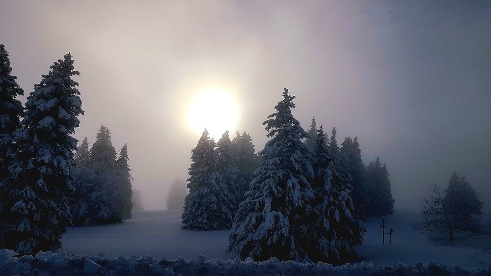 Фотография автора Kate Fontaine