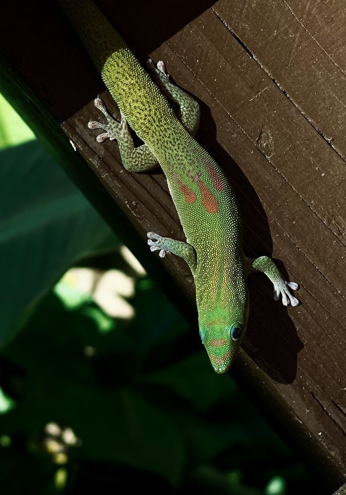 Photograph by Елена Кудрявцева