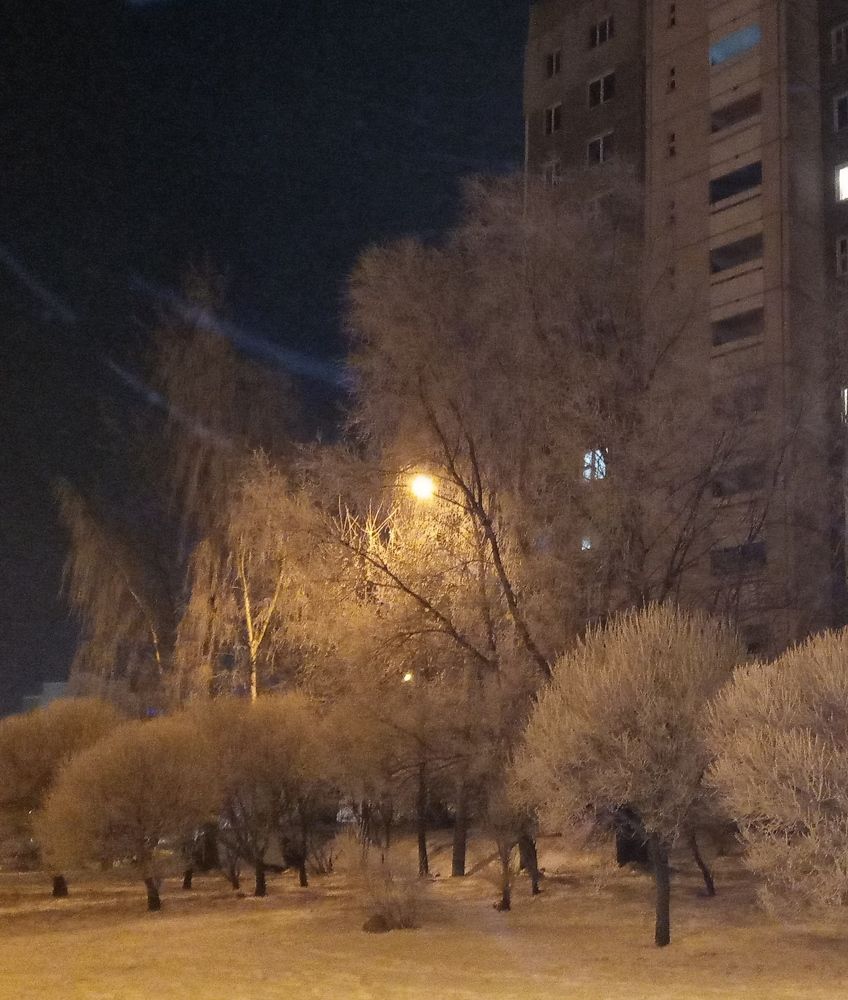 Photo #8602050