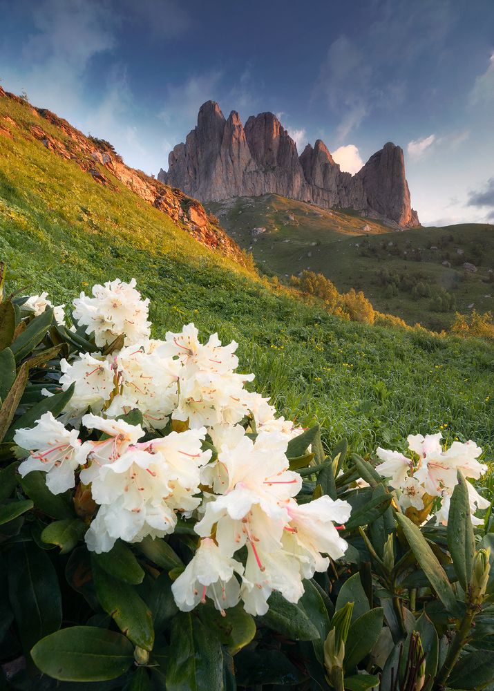 Photograph by Сергей Луканкин