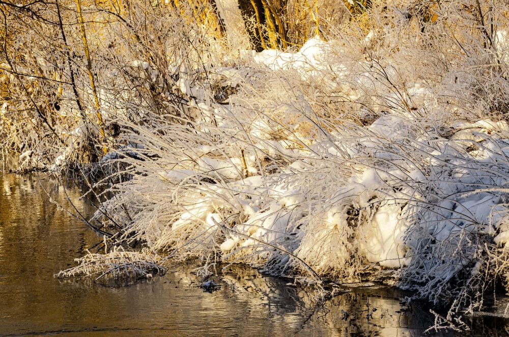 Photograph by Oleg Yashin