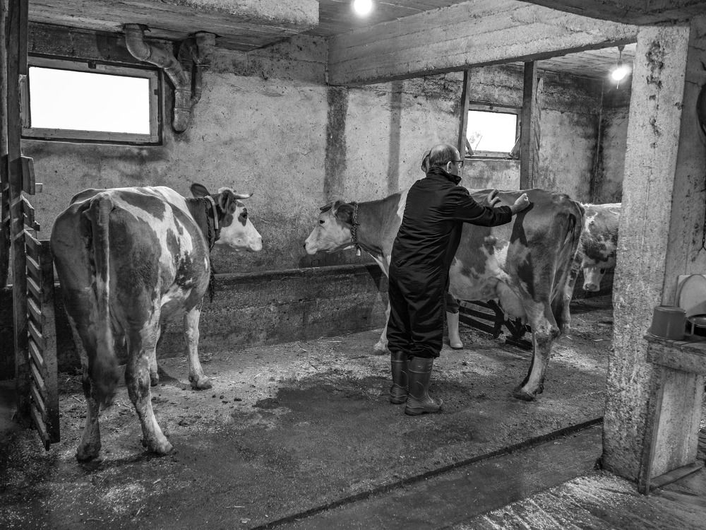 Фотография автора NECMETTİN SOBUTAY