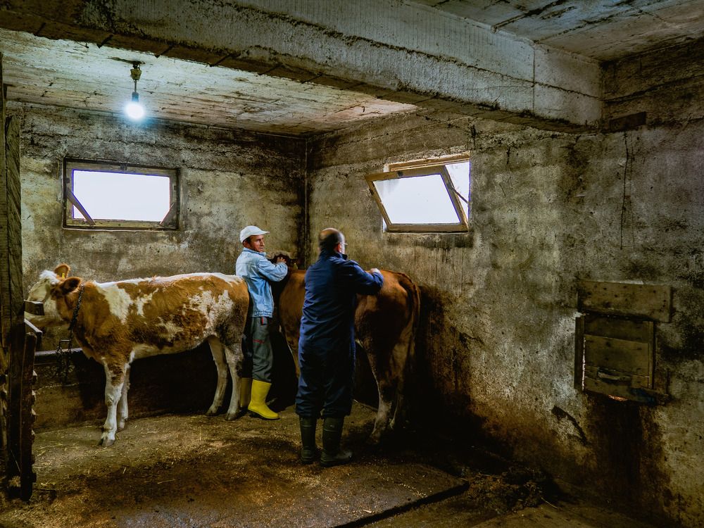 Фотография автора NECMETTİN SOBUTAY