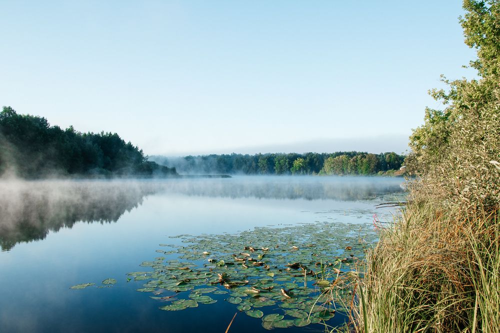 Утро. Озеро Заборное