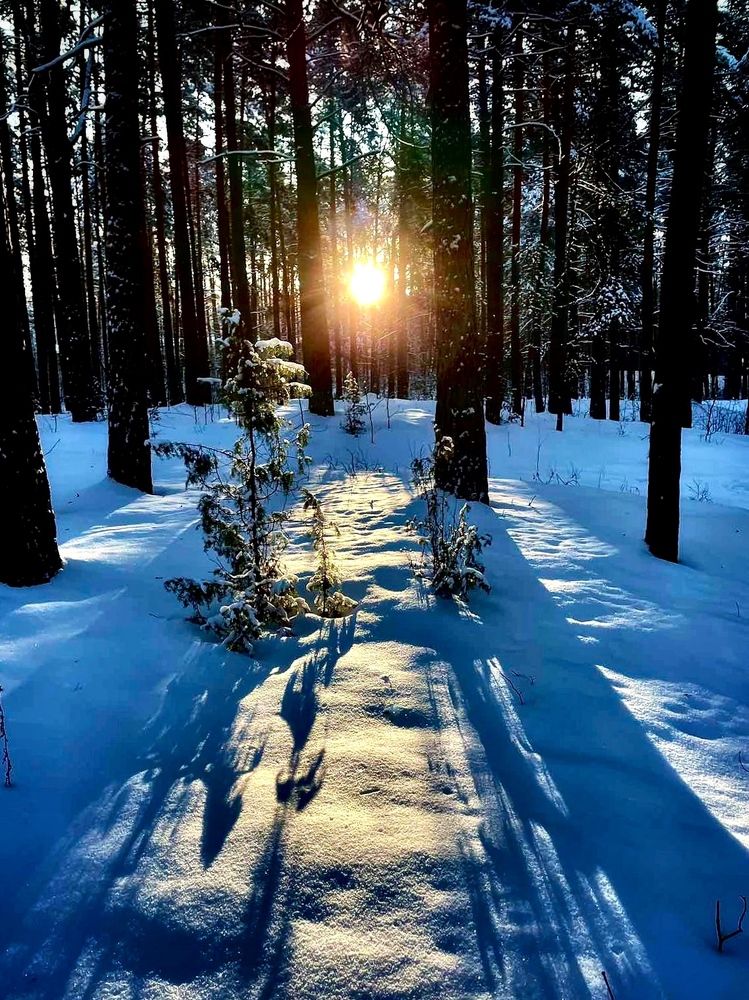 Photograph by Марина Нагичева