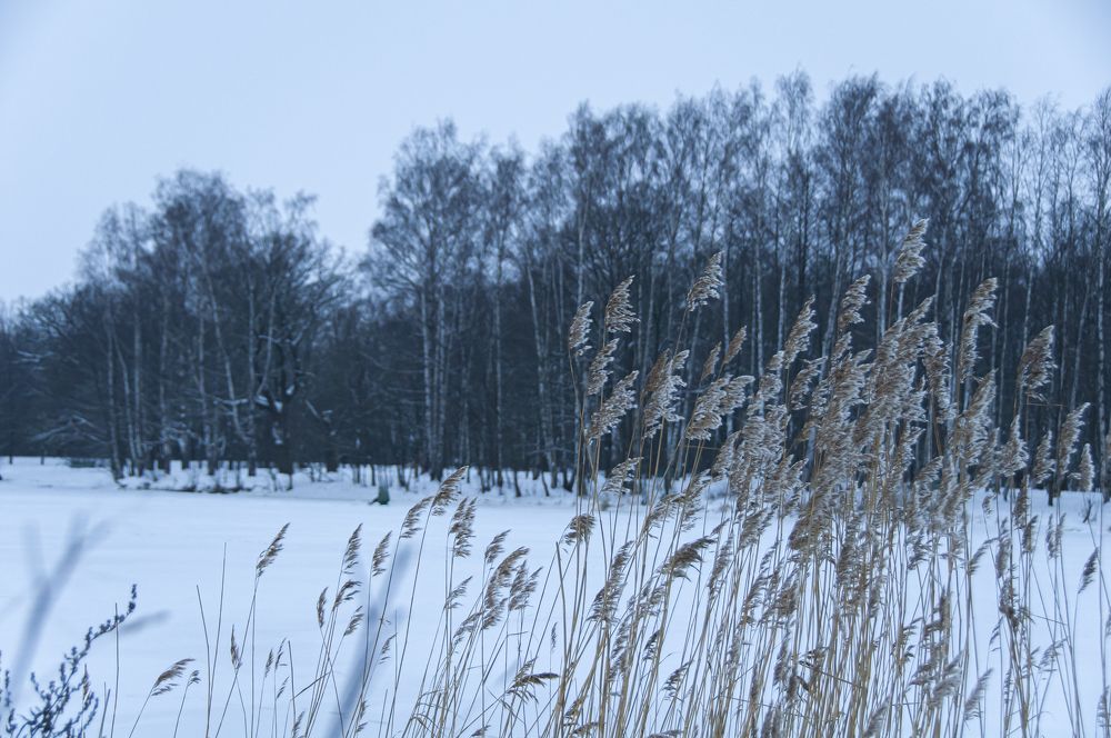 Photograph by Никита