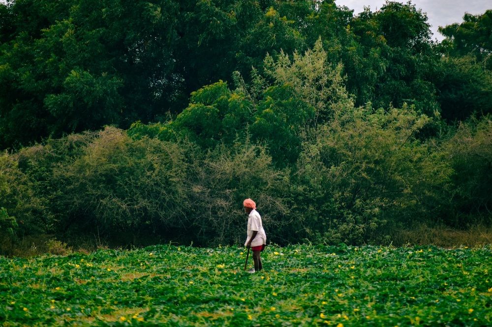 Фотография автора Sakthi Ganesh