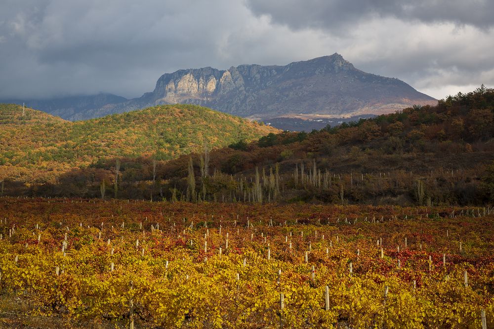 Фотография автора Сергей Шульга