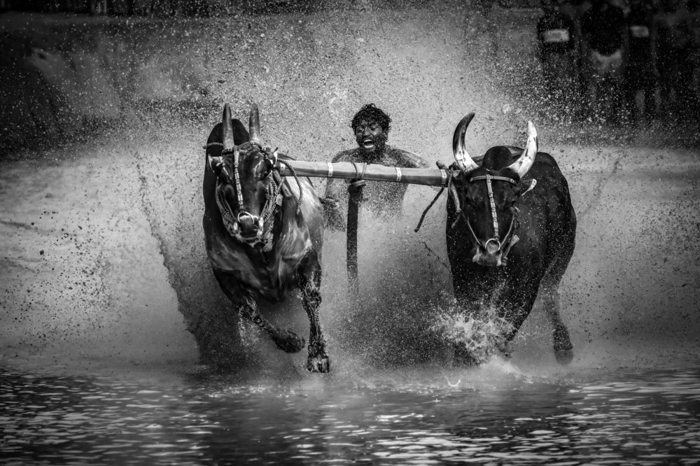 Photograph by Nivedh A M