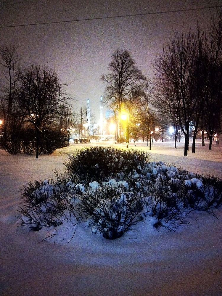 Photograph by Кристина Шмырева