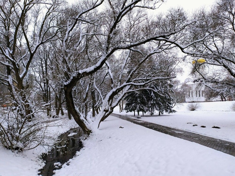 снежная зима