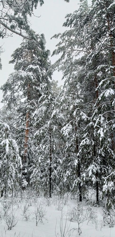 Photograph by Лейсан