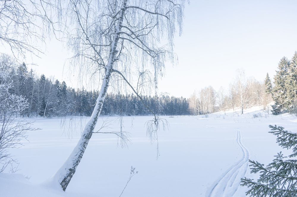 Photograph by Мария Паина