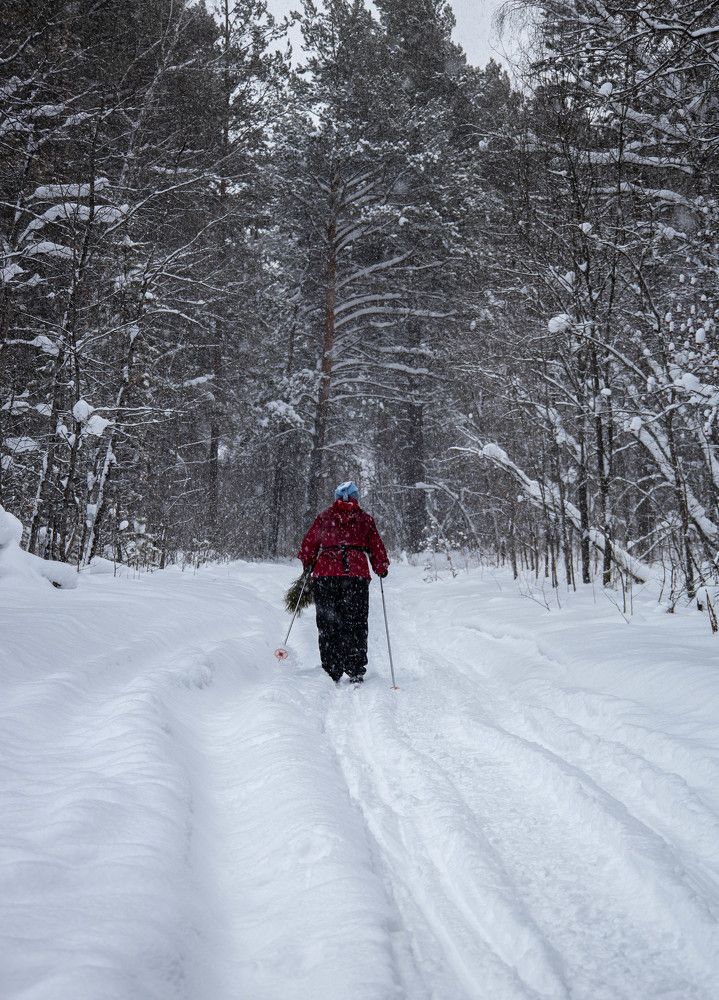 Photograph by Анастасия Карнаухова