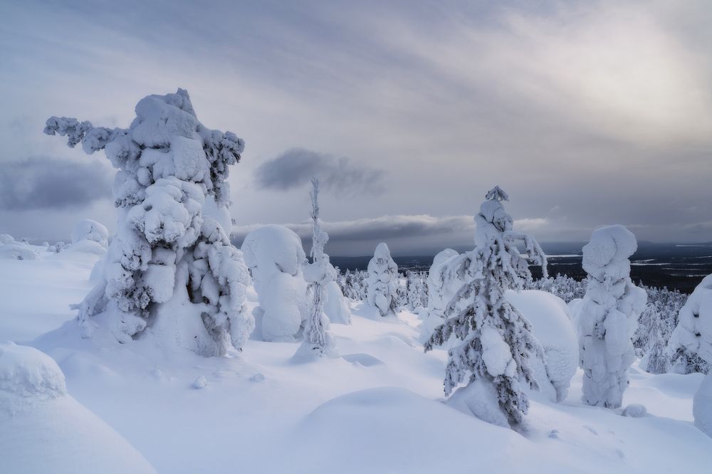 Photograph by Юлия Мальцева