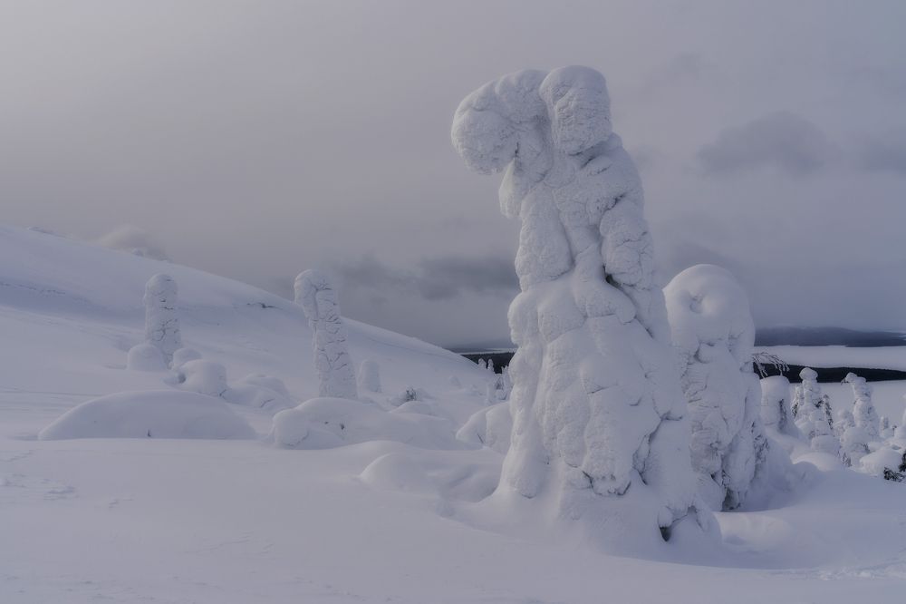 Photograph by Юлия Мальцева