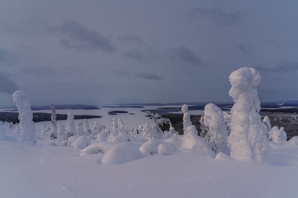 Photograph by Юлия Мальцева