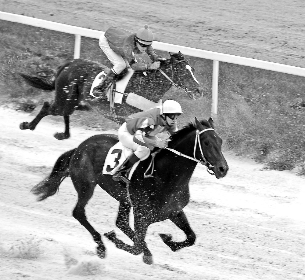 Photograph by Сергей Сережников