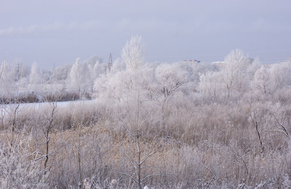 Photograph by Сергей Хранитель