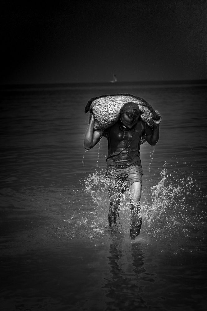 Photograph by Supun Chathuranga Abeykoon