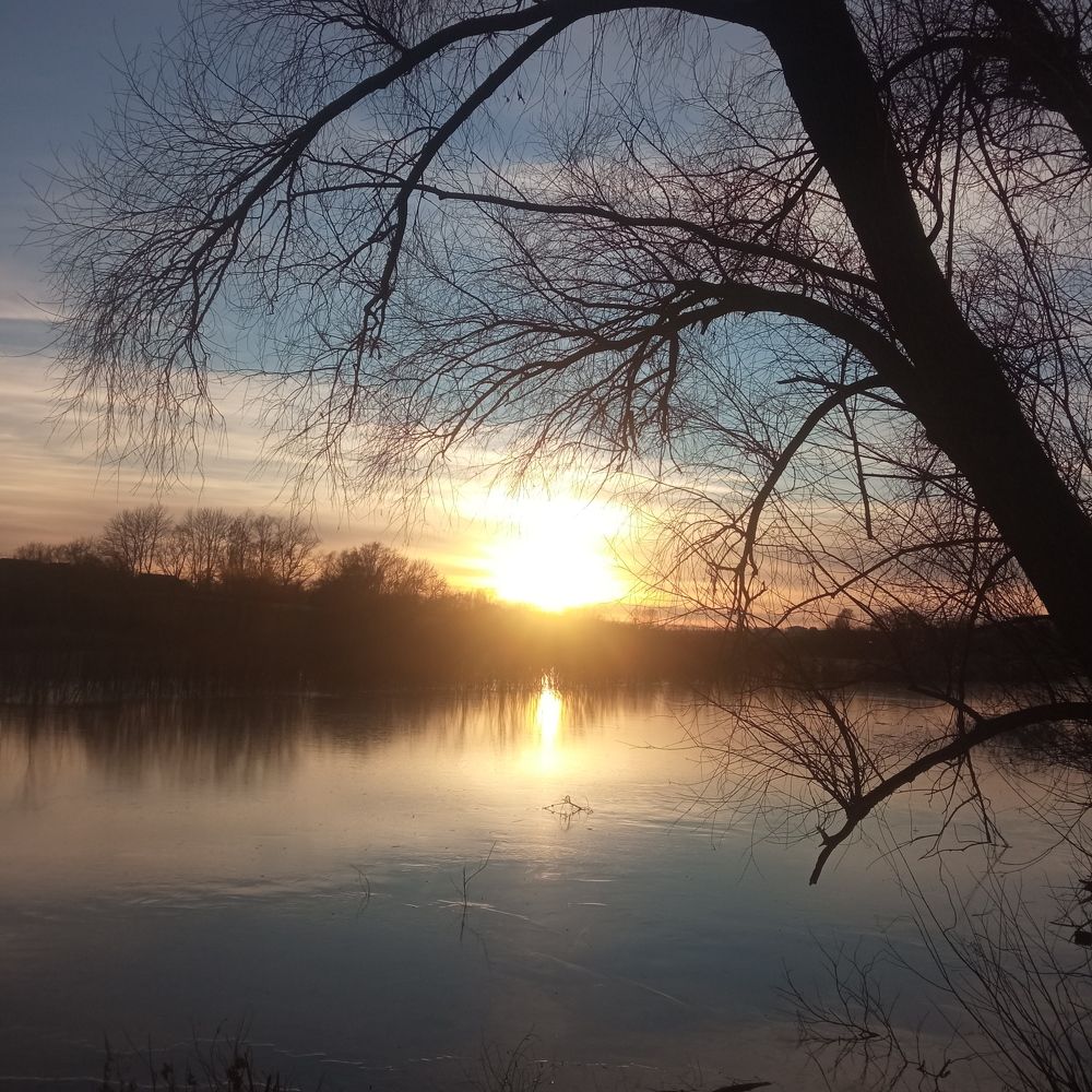 Photograph by Ирина Шаповалова