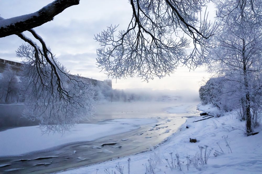 Туман на реке