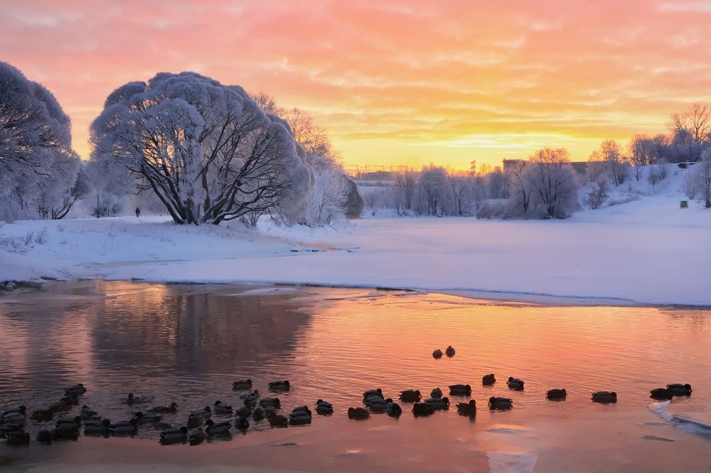 Photograph by Olga Asson