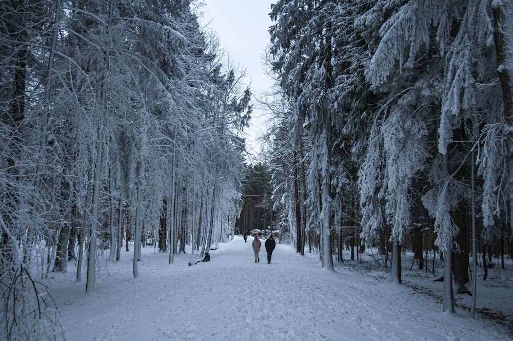 Photograph by Никита