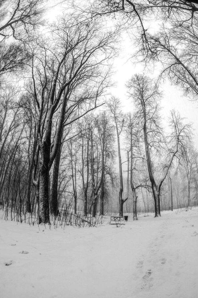 Photograph by Александр Соловьев