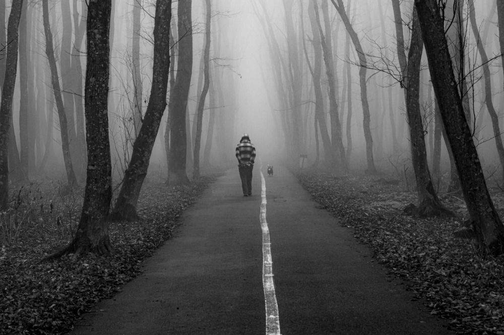 Photograph by 