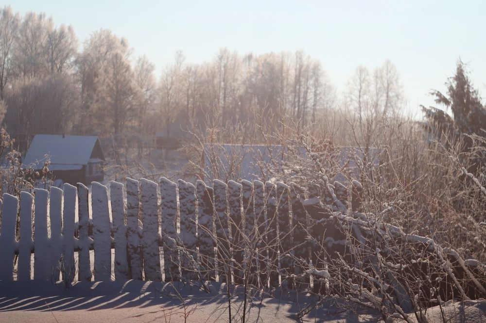 Фотография автора Elena Istomina